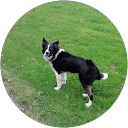 Linda Stenhouse profile picture