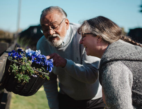 It’s Their Summer Too- Supporting Elderly Wellbeing in the Warmer Months