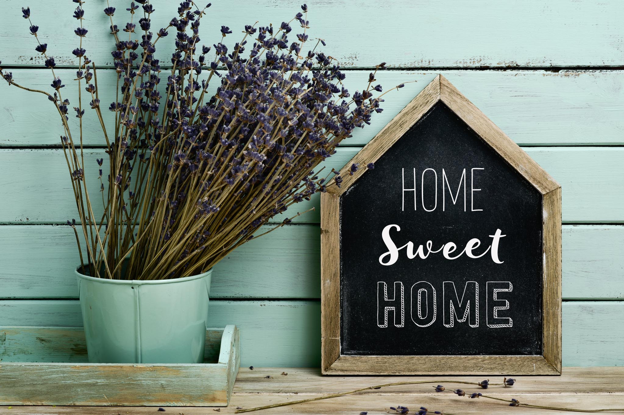 Visiting Angels | Stay Independent: Ditch “Care Homes Near Me” for In-Home Care